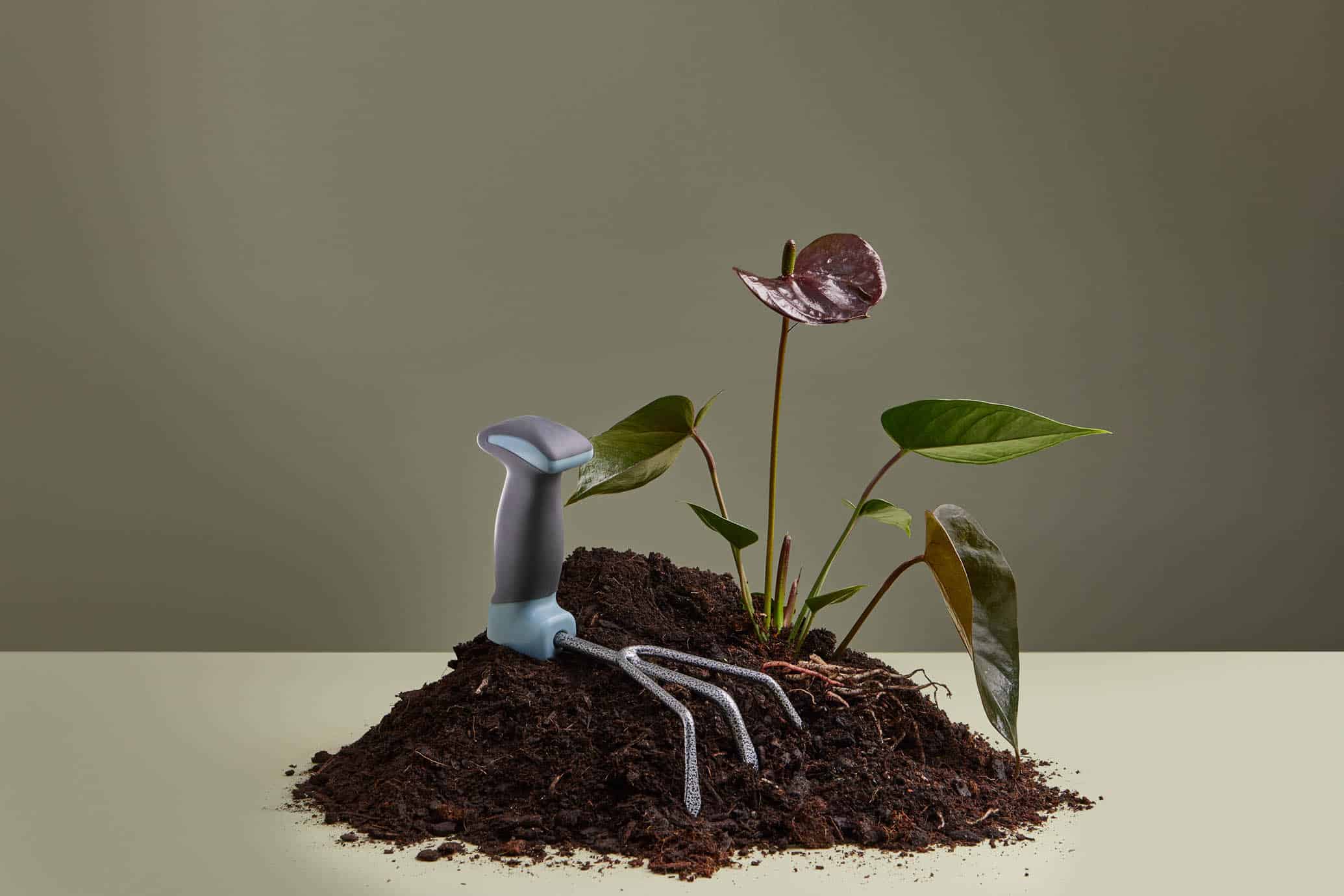 2023_11_15-Bernini-Styled_SHOT7_FULL