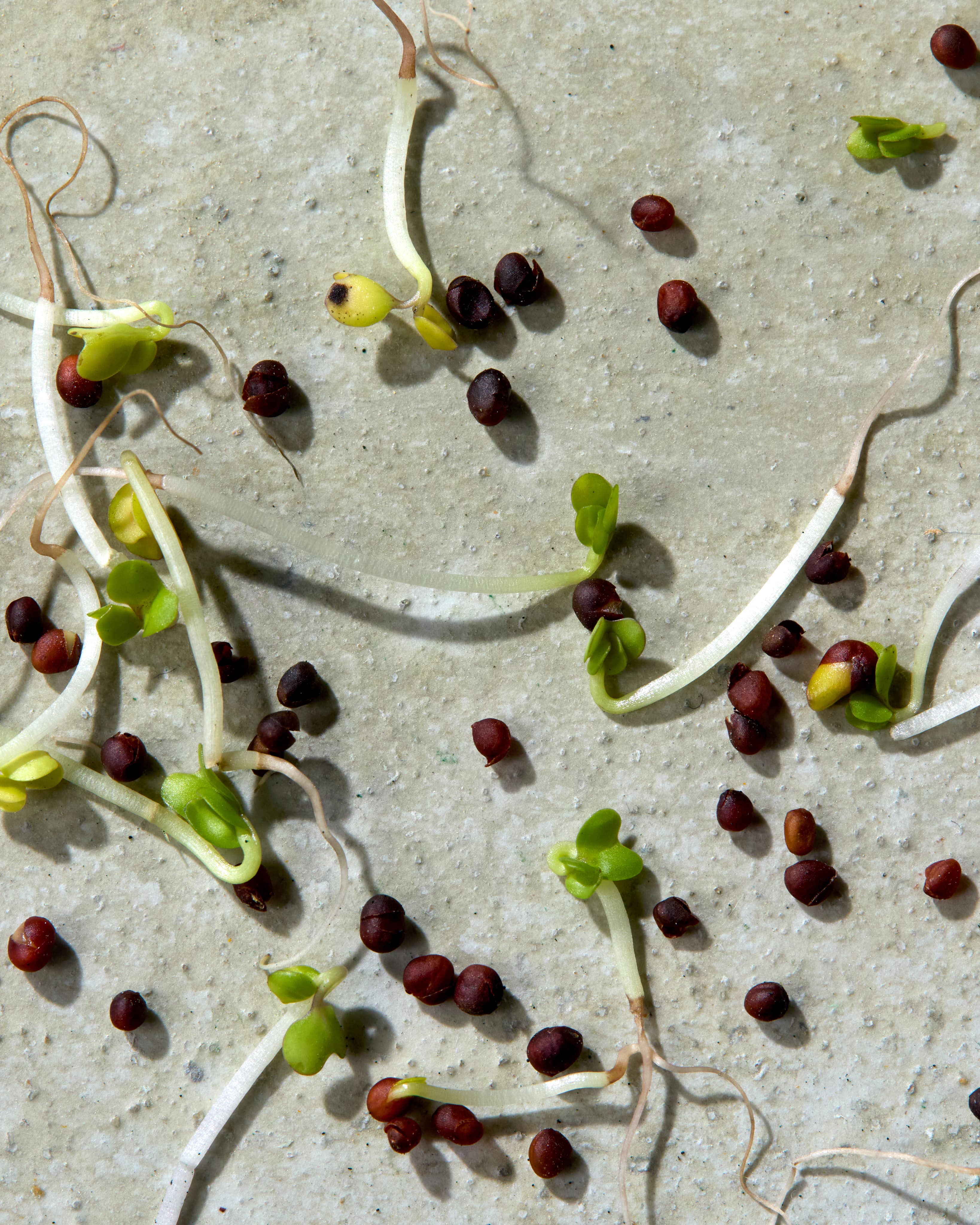 Akaure-product-launch-05-min