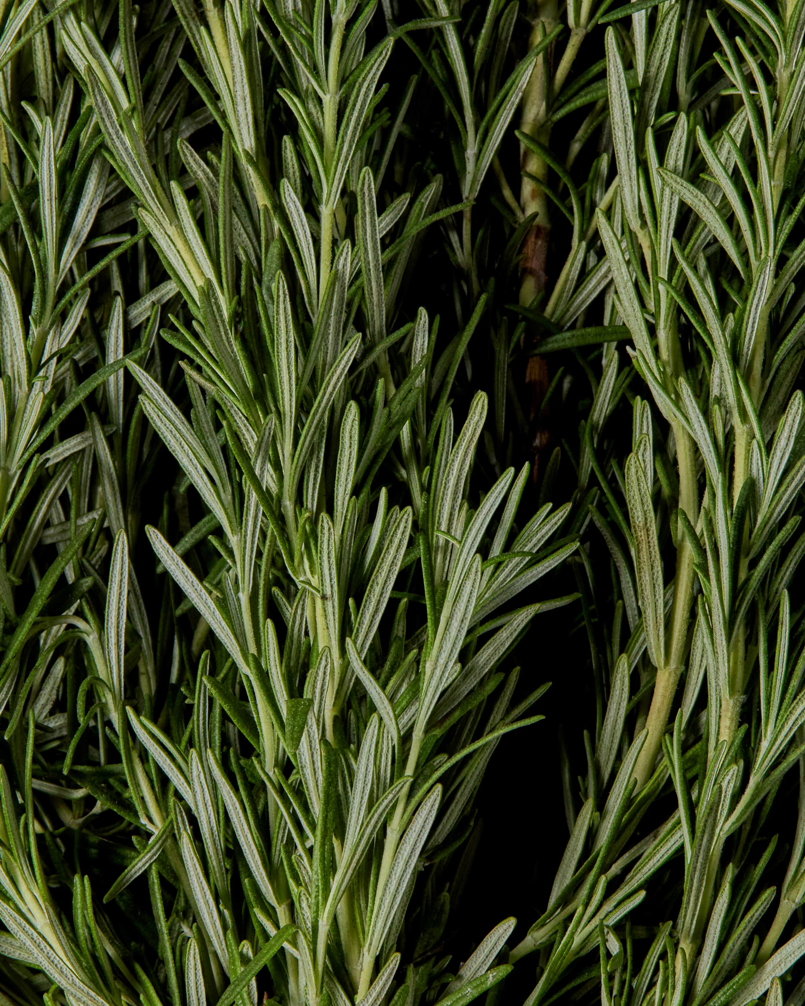 Akaure-product-launch-12-min