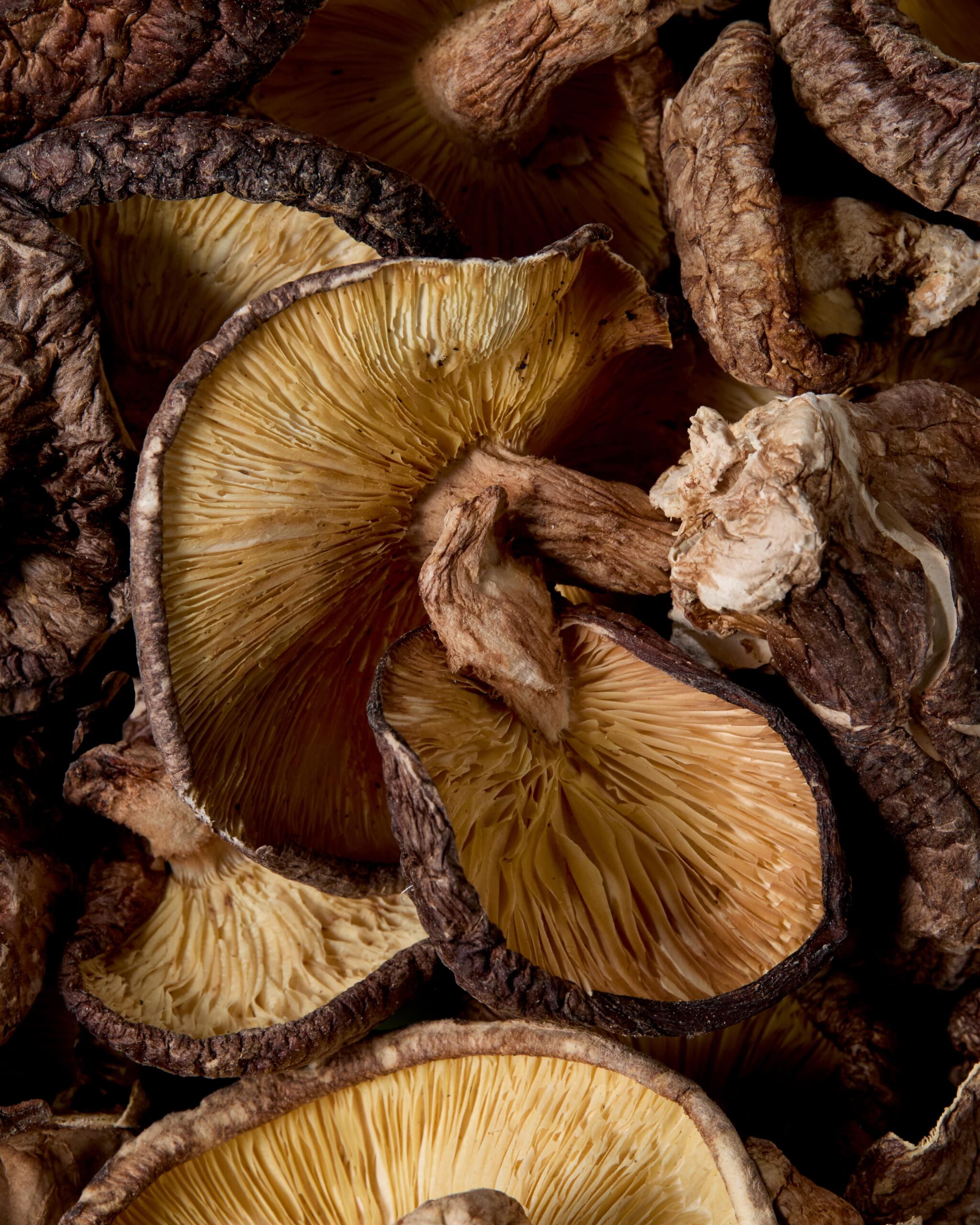 Akaure-product-launch-13-min